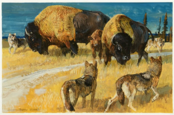 Bob Kuhn, Buffalo and Wolves